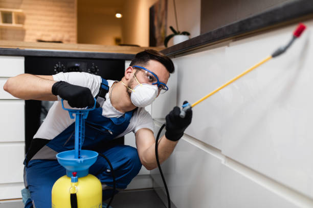 Wildlife Control Services in La Vale, MD