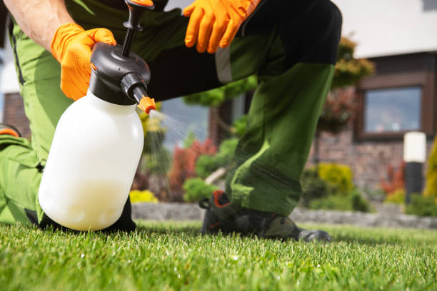 Best Best Pest Control Companies  in La Vale, MD